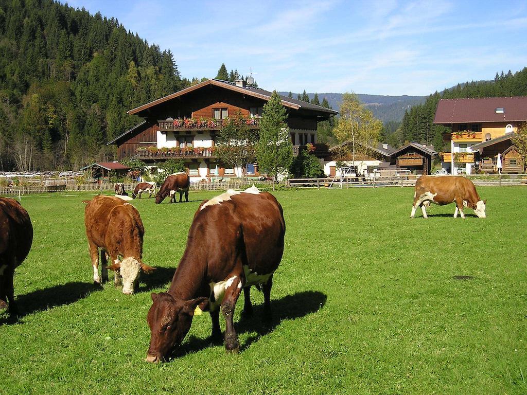 Winklhuette Villa Forstau  Luaran gambar